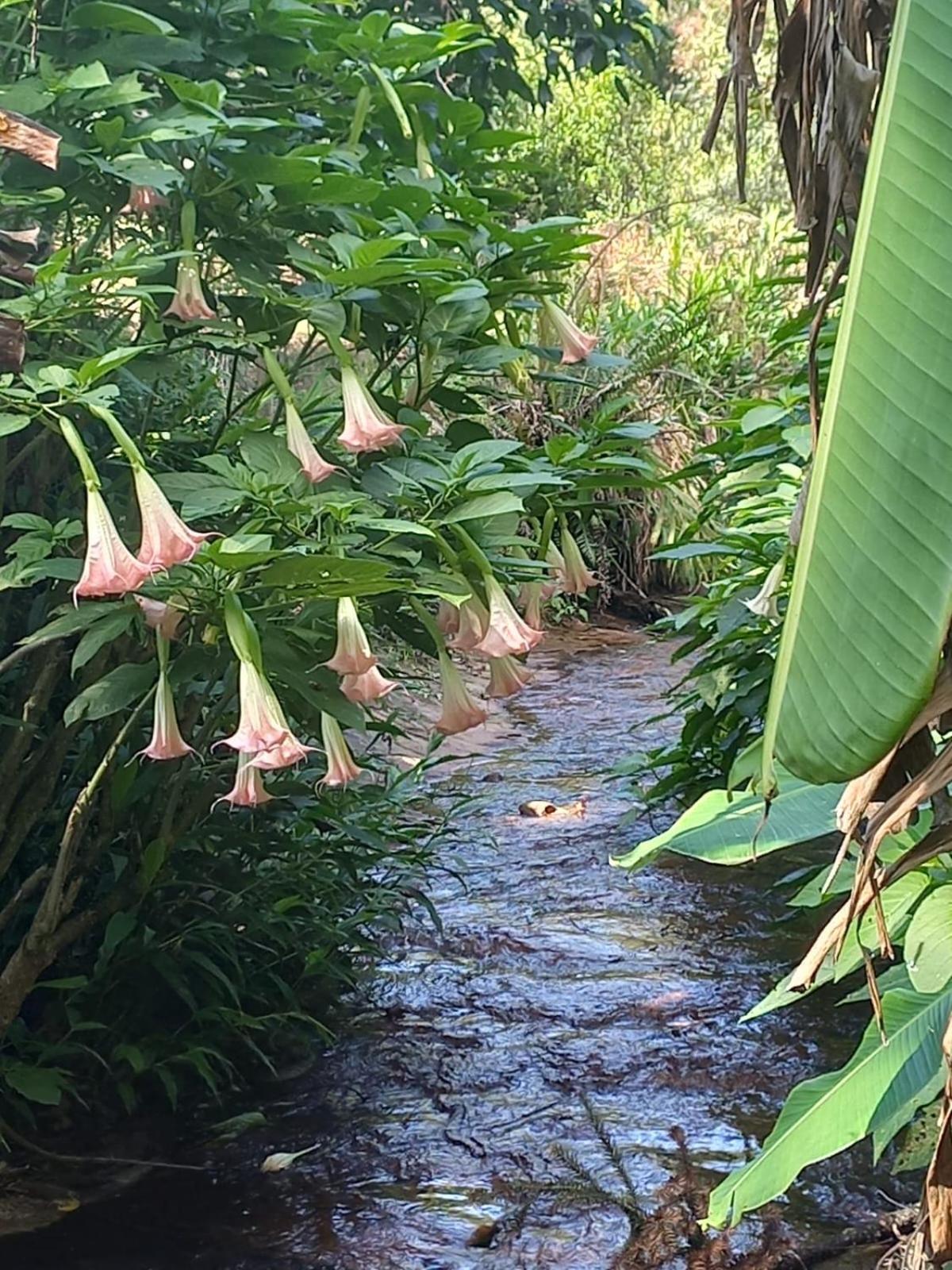Casa Ampla E Aconchegante Em Gramado Villa Luaran gambar