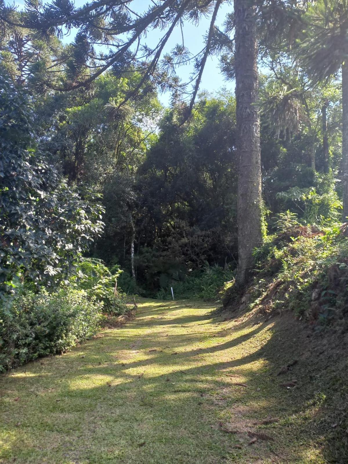 Casa Ampla E Aconchegante Em Gramado Villa Luaran gambar