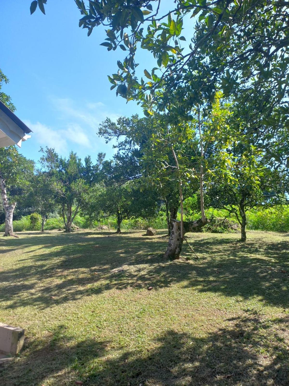 Casa Ampla E Aconchegante Em Gramado Villa Luaran gambar